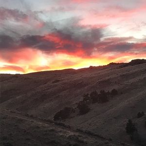 Meet your Posher, Isabella